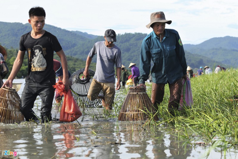 le hoi danh ca cau may anh 12