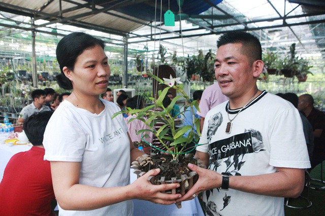 Tài chính - Ngân hàng - Danh tính đại gia Hà thành chi hẳn 5 tỷ mua bông hoa nhìn như rau muống (Hình 2).