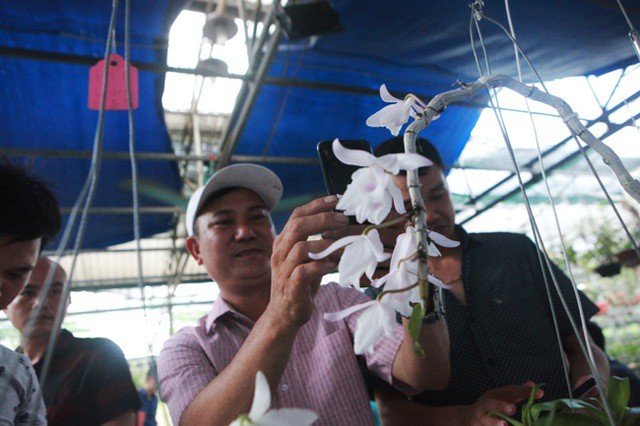 Tài chính - Ngân hàng - Danh tính đại gia Hà thành chi hẳn 5 tỷ mua bông hoa nhìn như rau muống (Hình 6).