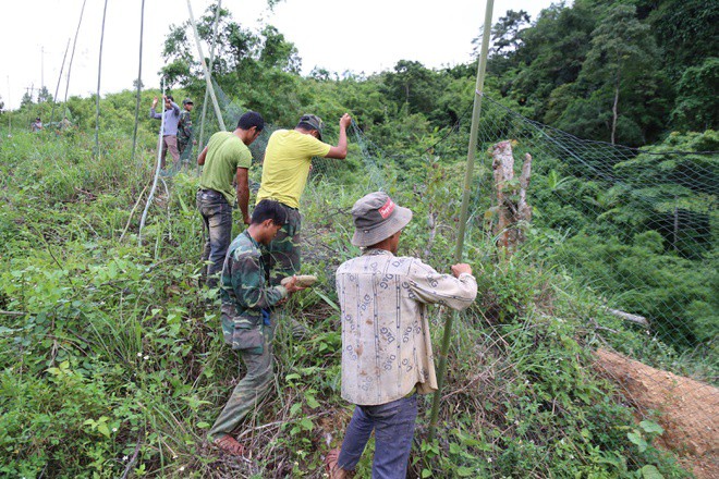 Giang luoi ngan vooc tan cong nguoi anh 1