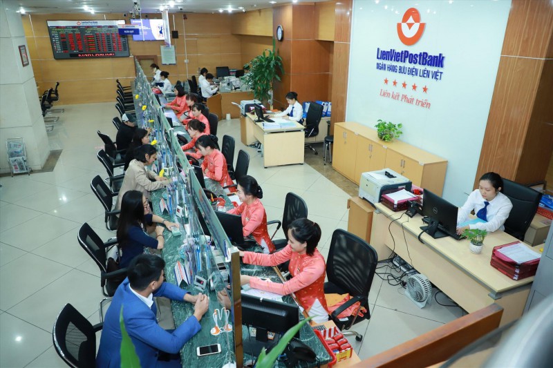 Chàng trai bỏ thành phố, quyết tâm làm giàu nơi vùng cao biên giới - Ảnh 1. Chàng trai bỏ thành phố, quyết tâm làm giàu nơi vùng cao biên giới - Ảnh 1.