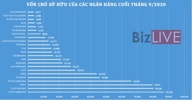 Hiệu quả hoạt động ngân hàng ra sao giữa đại dịch Covid-19? - Ảnh 3.