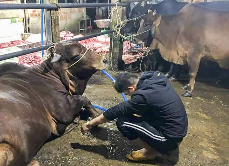 Bom nuoc vao bo truc loi anh 1