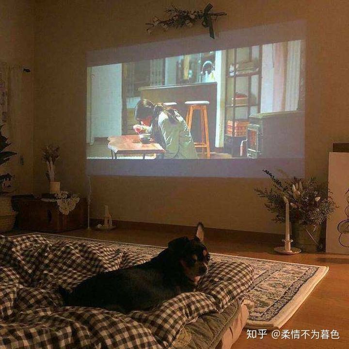 Lời kể của nhân viên lễ tân ở rạp chiếu phim người lớn: Nhiều khách đến đây tập thể dục sau đó bỏ dụng cụ vào thùng rác? - Ảnh 1. Lời kể của nhân viên lễ tân ở rạp chiếu phim người lớn: Nhiều khách đến đây tập thể dục sau đó bỏ dụng cụ vào thùng rác? - Ảnh 1.