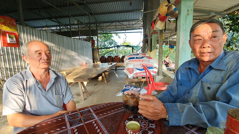 Sét đánh làm cá chết hàng loạt - ảnh 2