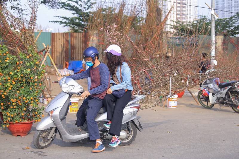 Tiêu dùng & Dư luận - Quất, đào 'sale kịch sàn' vẫn vắng bóng người mua (Hình 4).