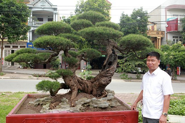 Tiêu dùng & Dư luận - Cận cảnh 'lão' phi lao hình chữ Nhẫn giá bạc tỷ khiến ai cũng mê (Hình 2).