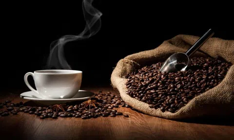 Giá cà phê hôm nay 23/6: Tăng phiên thứ 2 giữa nguy cơ giảm; Xuất khẩu cà phê Việt triển vọng vượt kỷ lục 3,7 tỷ USD
