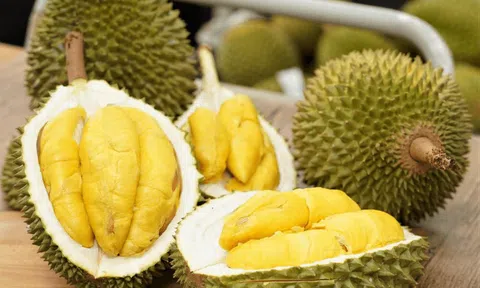 Sầu riêng tươi chủ yếu được xuất khẩu sang thị trường Trung Quốc