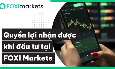 Quyền lợi nhận được khi đầu tư tại FOXI Markets