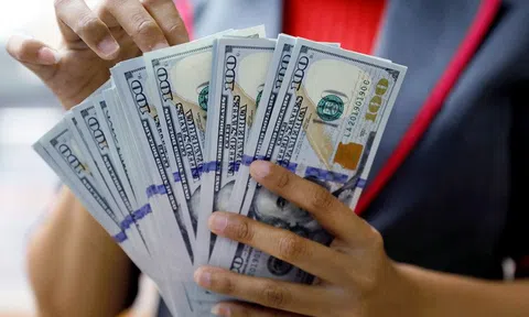 Vì sao NHNN bất ngờ giảm mạnh giá mua USD?