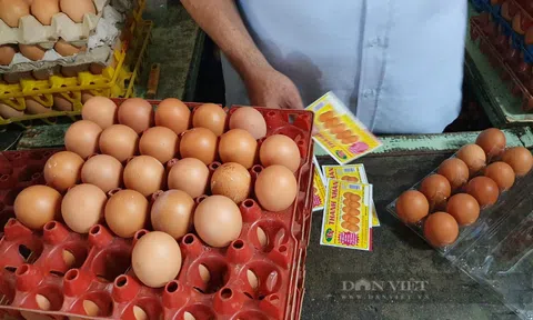 Giá dầu ăn, trứng gà ở TP.HCM tăng kỷ lục