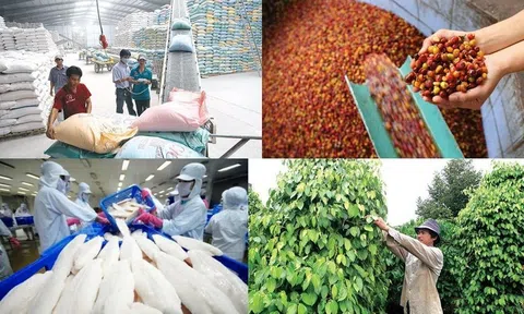 "Gỡ khó" 8 vấn đề lớn cho doanh nghiệp nông sản sang Trung Quốc