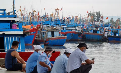 Xăng dầu tăng vượt sức chịu đựng: Đề nghị có chính sách hỗ trợ ngư dân